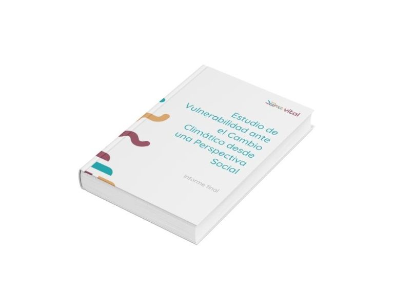 ¿Vulnerables o vulnerabilizadas?